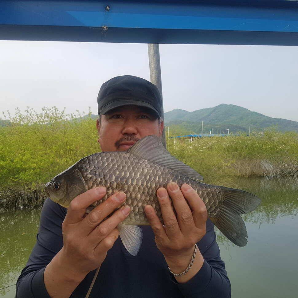 황금연휴 오산집 조황 (유료터정보 - 유료터점주조황)