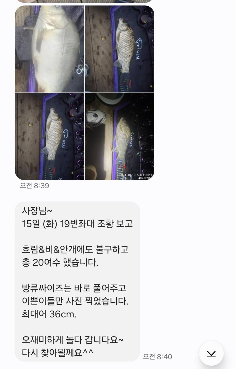2024년 10월 셋째주 조황정보 용담낚시터사암지사짜 3마리 (유료터정보 - 유료터점주조황)