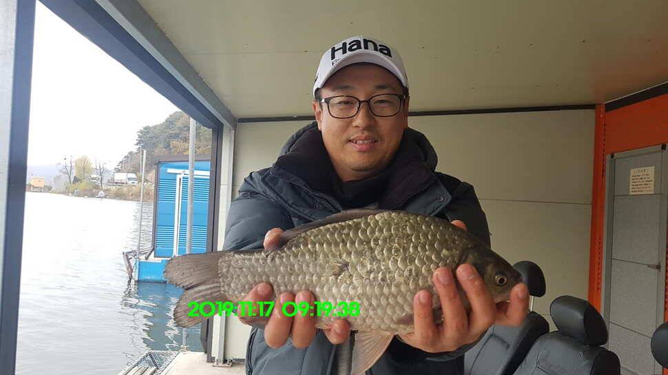 신원낚시터11월19일 토종붕어 방류와 조황 소식입니다 (유료터정보 - 유료터점주조황)