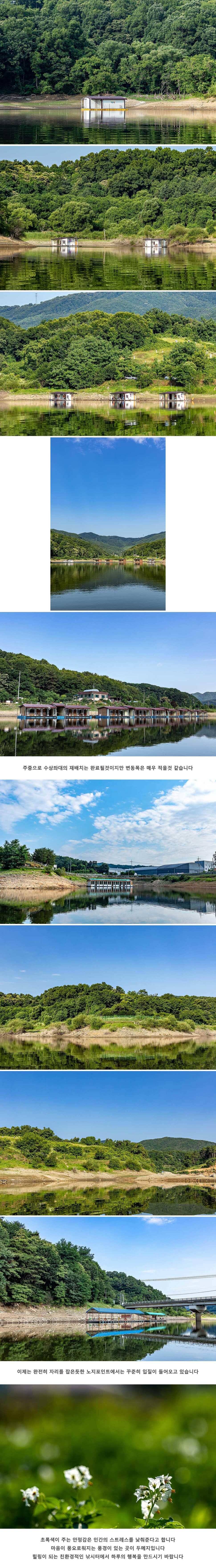 안성 두메낚시터 6월 24일 조황정보 (유료터정보 - 유료터점주조황)