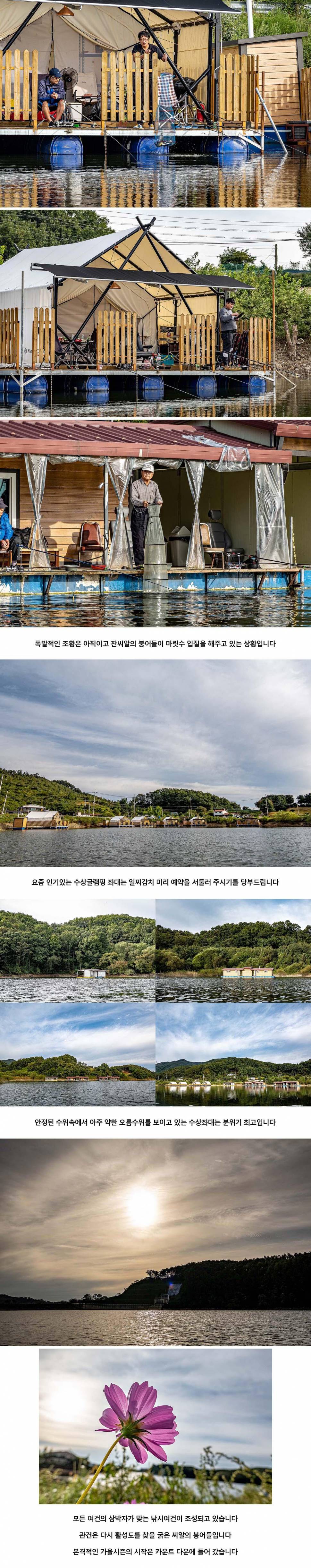안성 두메낚시터 9월 23일 조황정보 (유료터정보 - 유료터점주조황)