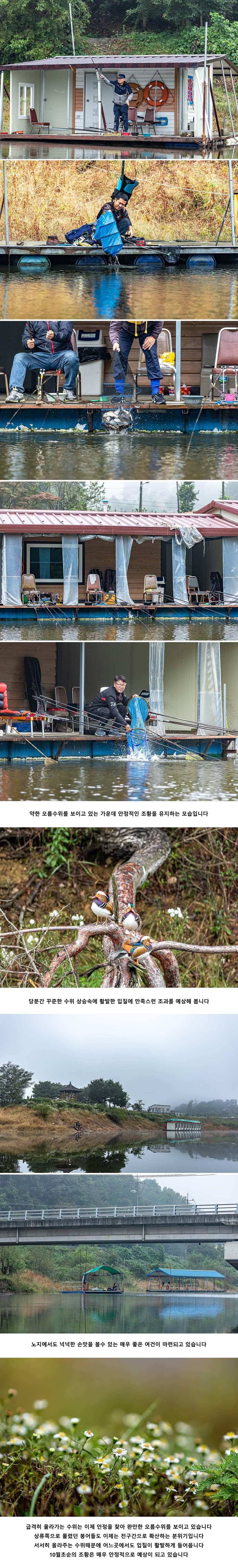 안성 두메낚시터 10월 4일 조황정보 (유료터정보 - 유료터점주조황)