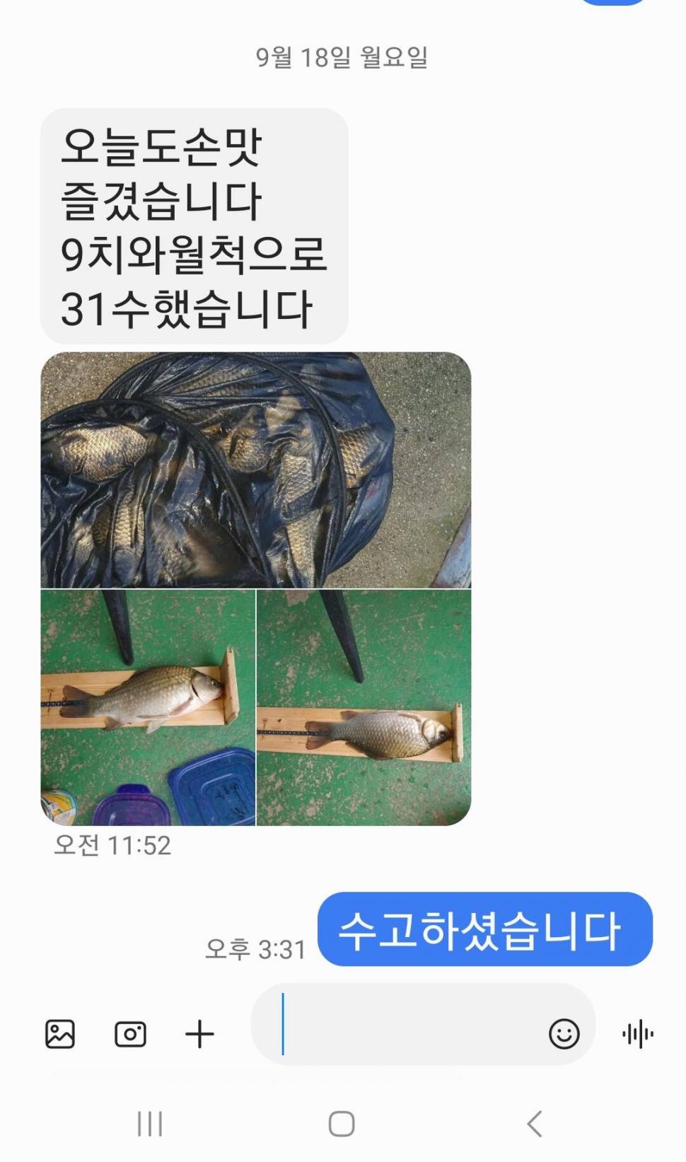 2023년 9월 셋째주 조황정보 용담낚시터사암지 (유료터정보 - 유료터점주조황)