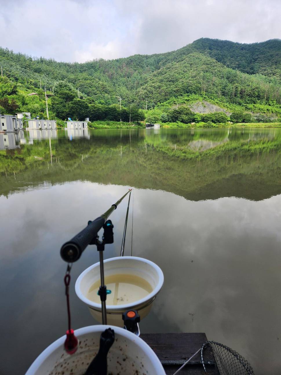 충북 괴산군 오가리 낚시터 7월 20일자 조황입니다 (유료터정보 - 유료터점주조황)