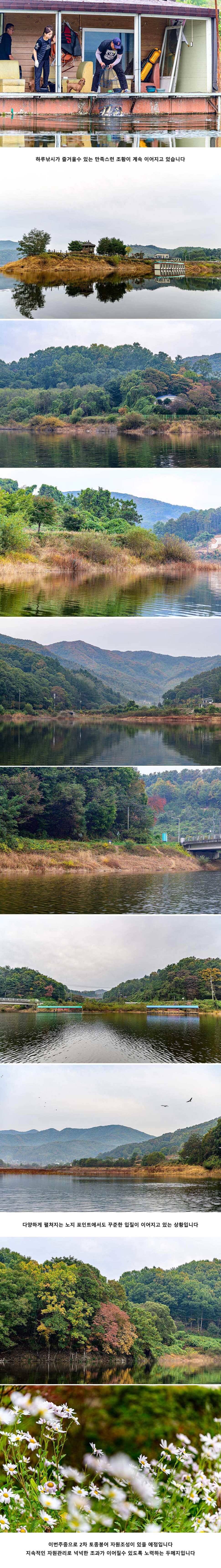 안성 두메낚시터 10월 23일 조황정보 (유료터정보 - 유료터점주조황)