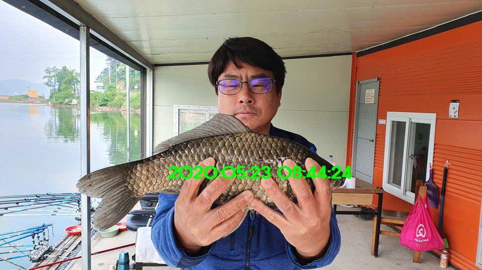 신원낚시터 6월2일토종대물 445짜리와 덩어리들 사진입니다 (유료터정보 - 유료터점주조황)