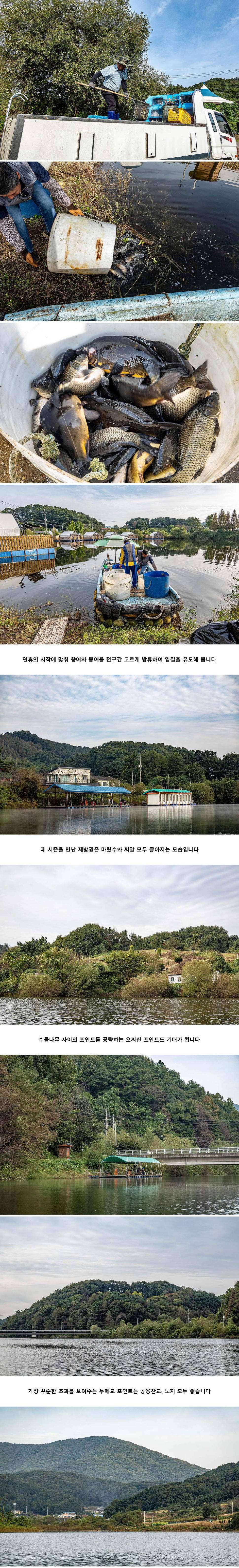 안성 두메낚시터 10월 7일 조황정보 (유료터정보 - 유료터점주조황)