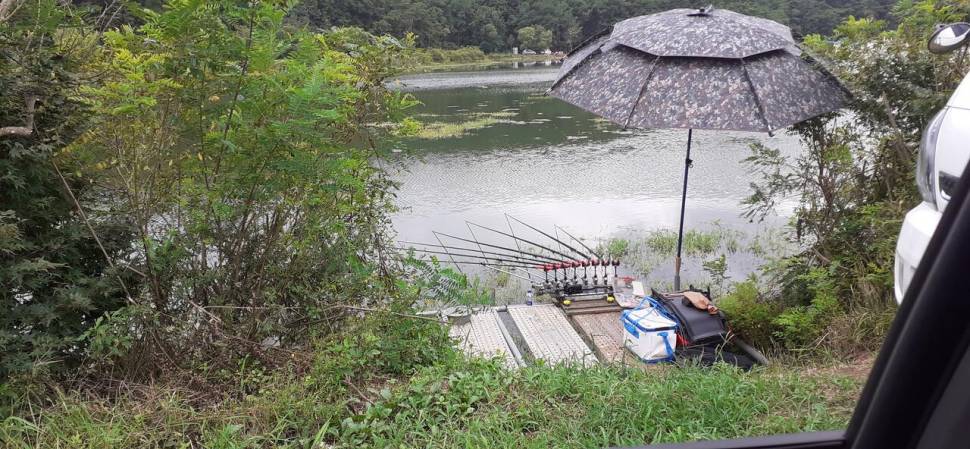 주말 만석고맙습니다 붕어방류 (유료터정보 - 유료터점주조황)