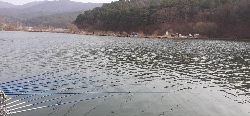 주말조황 굿입니다 (유료터정보 - 유료터점주조황)