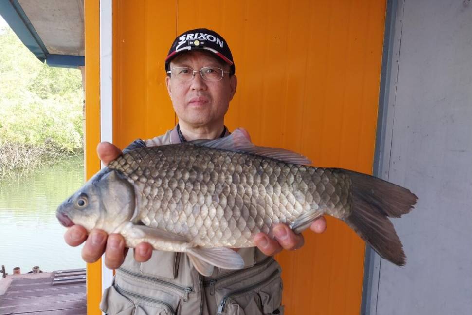 용인 송전지서울좌대소식 (유료터정보 - 유료터점주조황)