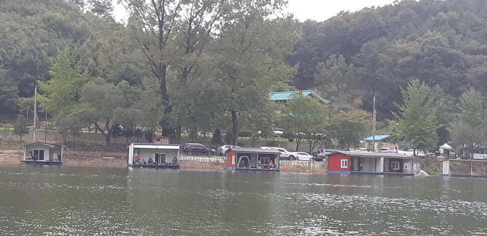 양평 수곡낚시터 9월28 오늘도 고르게 좋은 조황이 이어지고 있네요 오늘 붕어방류 완료하였습니다 (유료터정보 - 유료터점주조황)