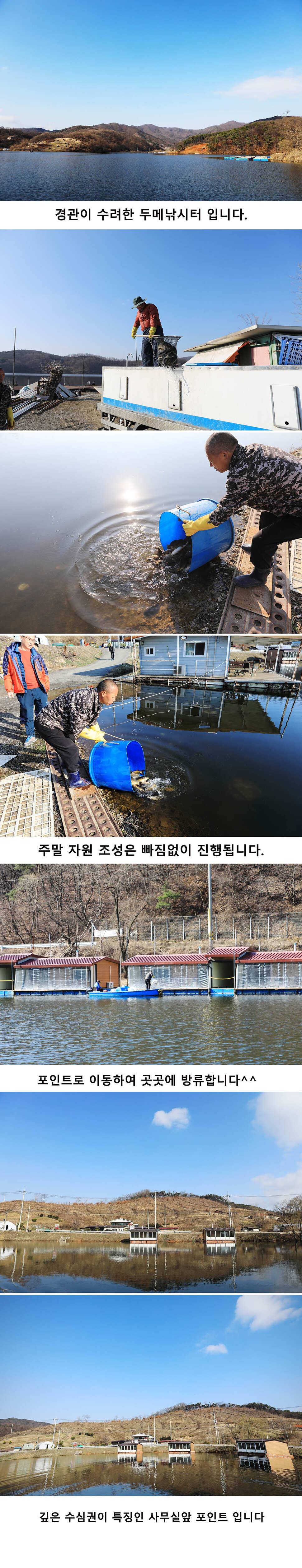 안성 두메낚시터 3월23일 조황안내 (유료터정보 - 유료터점주조황)
