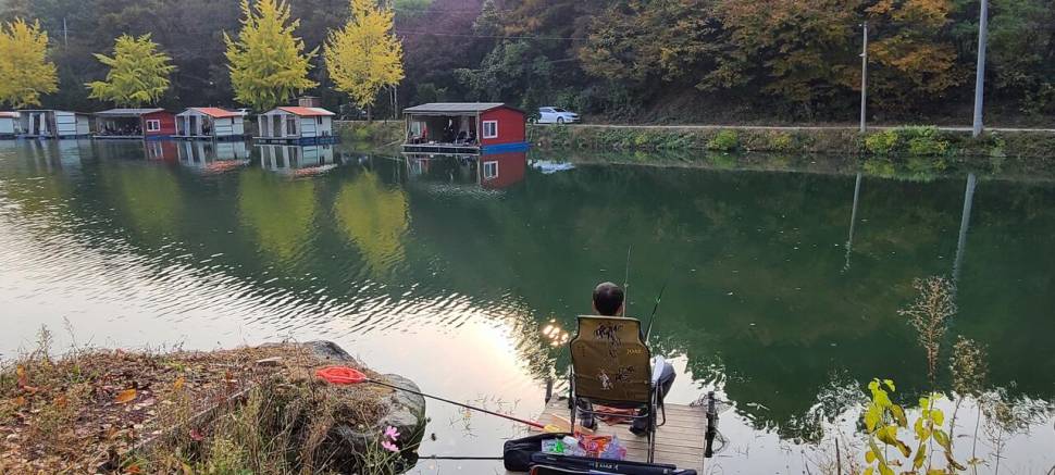 힐링양평 가을 수곡낚시터 월화요일 주초 조황 오늘 붕어방류 (유료터정보 - 유료터점주조황)
