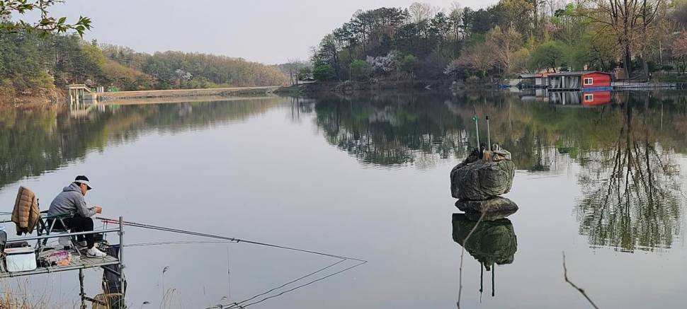 4월 둘째주말 양평 힐링 수곡낚시터 조황 및 붕어 방류 (유료터정보 - 유료터점주조황)