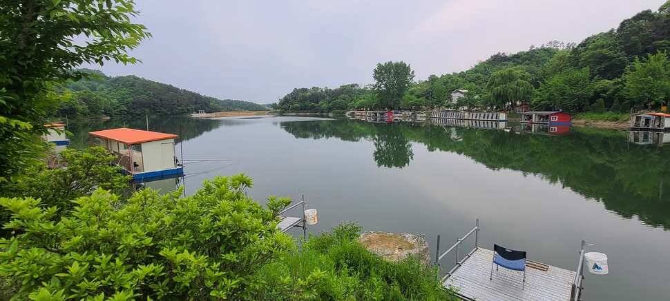 수곡지 양평 수곡낚시터 5월네째주 주말 조황 입질시간대 파악이 중요한듯합니다 (유료터정보 - 유료터점주조황)