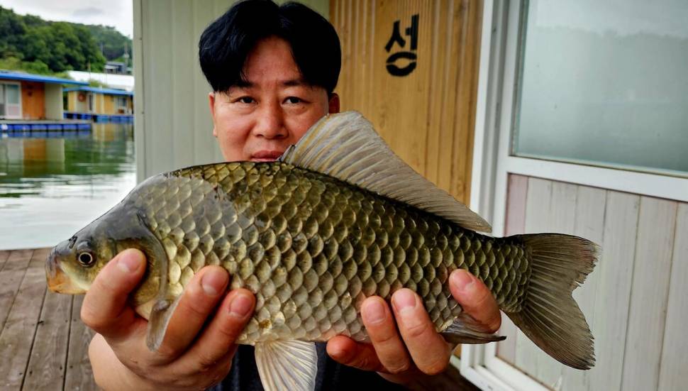 오름 수위 4짜 붕어 송전지 미성좌대 (유료터정보 - 유료터점주조황)