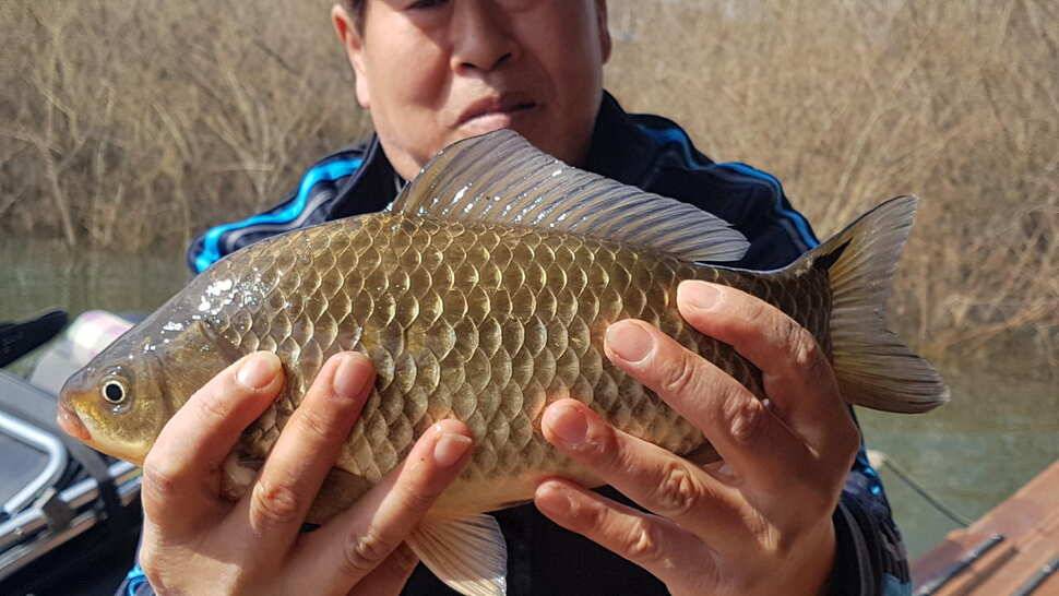 주말 오산집 조황 입니다 (유료터정보 - 유료터점주조황)