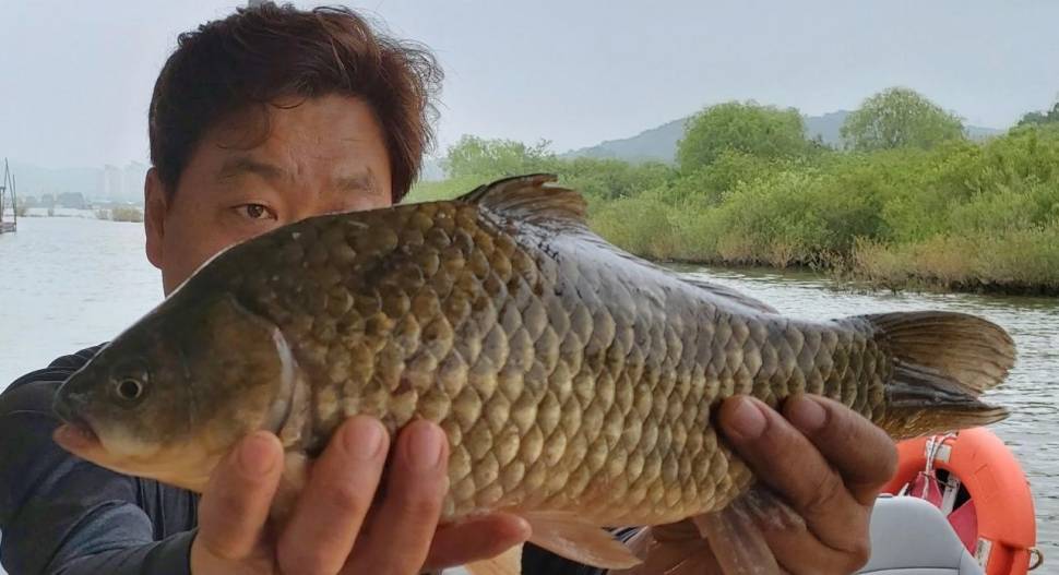 서울좌대에서 이어지는4짜와 덩어리들 (유료터정보 - 유료터점주조황)