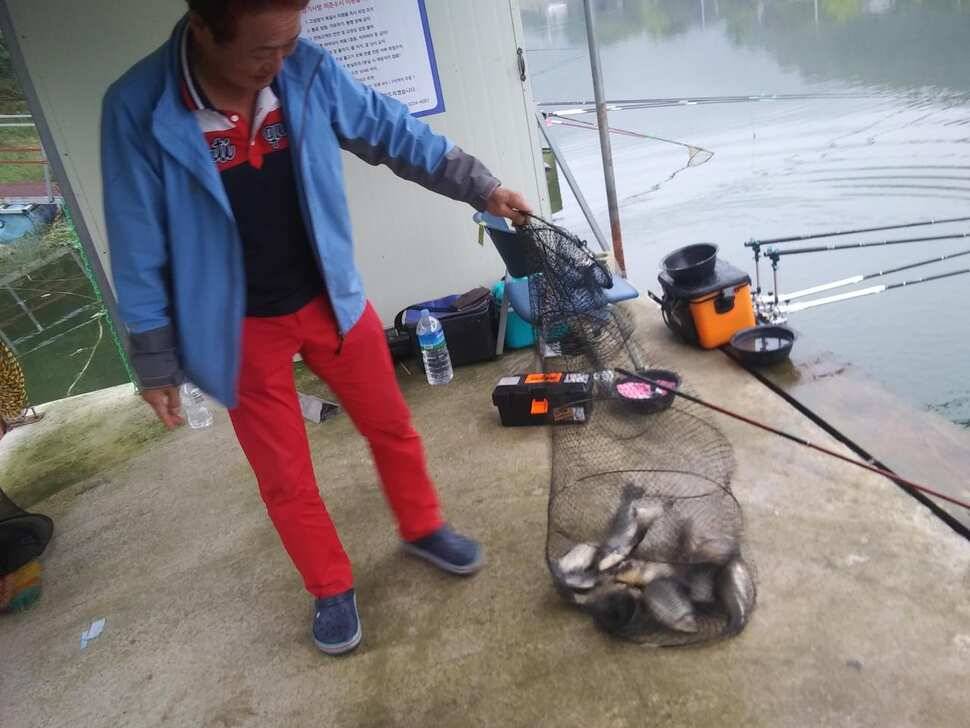양평 수곡낚시터 붕어낚시 금요일 조황도 고르게 잘 나와주네요 오늘 붕어 방류 완료 (유료터정보 - 유료터점주조황)