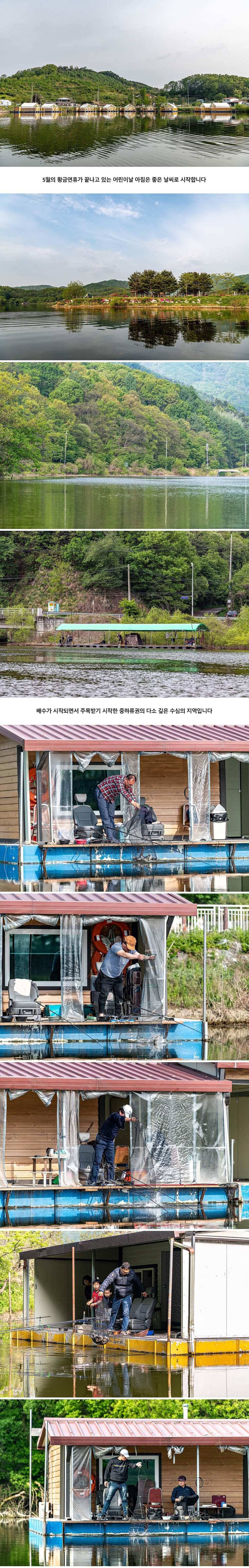 안성 두메낚시터 5월 5일 조황정보 (유료터정보 - 유료터점주조황)