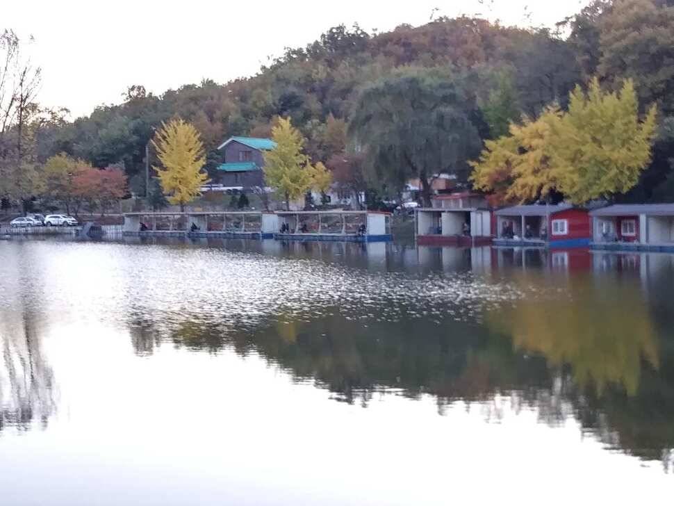 양평 수곡 낚시터 오늘도 자연산 토종붕어 대량 방류 및 조황 안내드려요 (유료터정보 - 유료터점주조황)