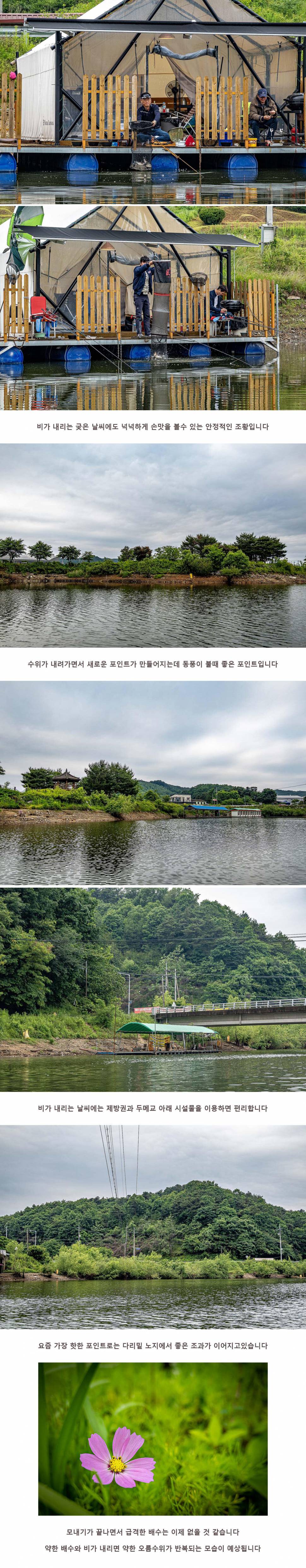 안성 두메낚시터 5월 31일 조황정보 (유료터정보 - 유료터점주조황)