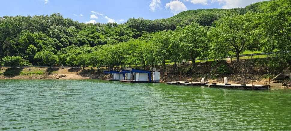 공주 고성낚시터 입니다 (유료터정보 - 유료터점주조황)