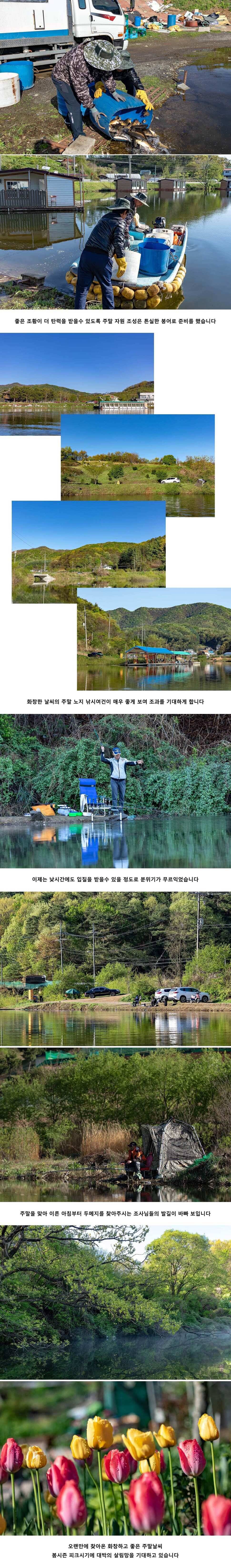안성 두메낚시터 4월 27일 조황정보 (유료터정보 - 유료터점주조황)