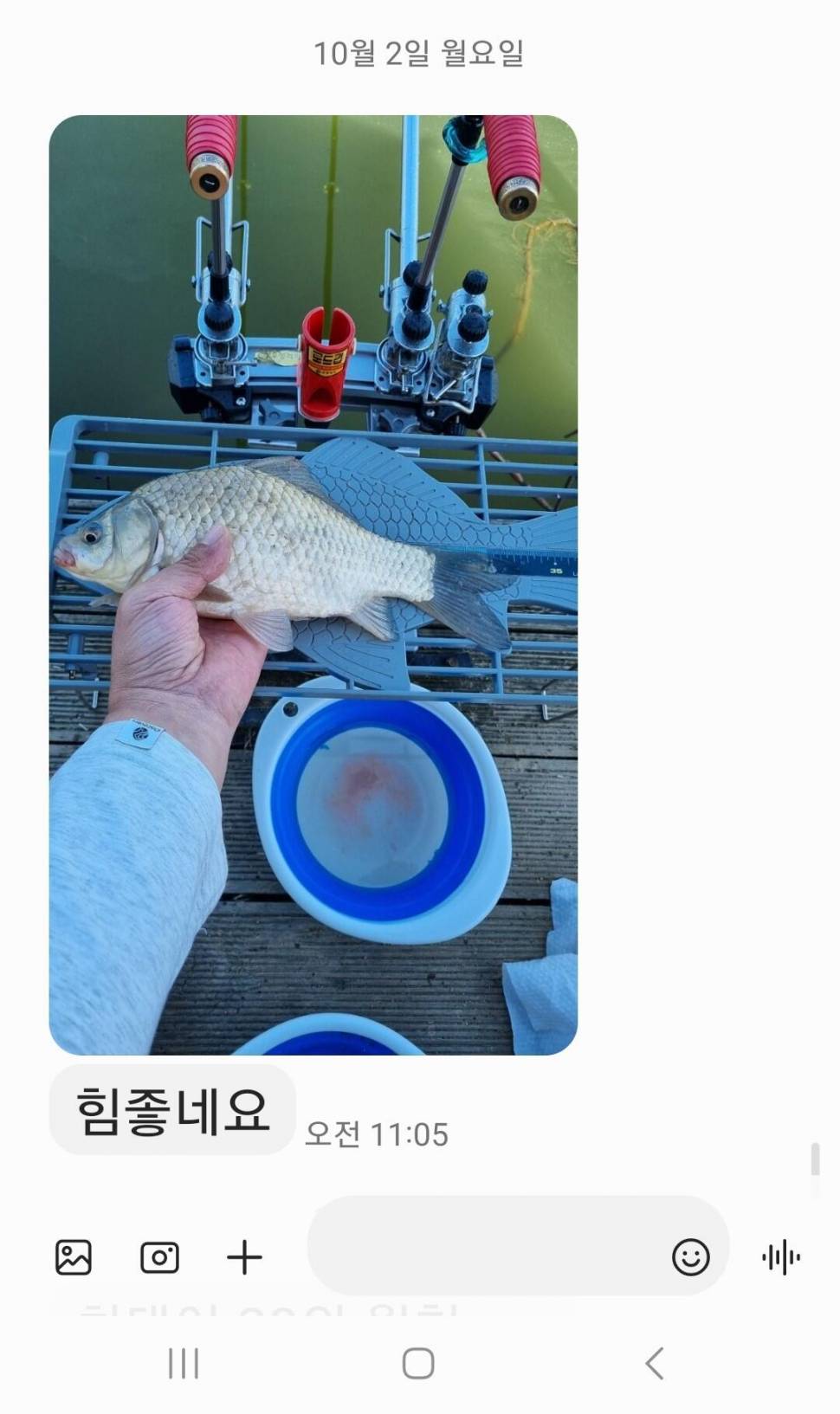 2023년 10월 첫째주 조황정보 용담낚시터사암지 (유료터정보 - 유료터점주조황)