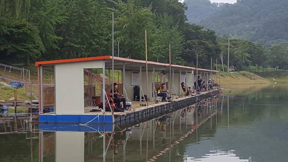 힐링 양평 수곡낚시터 추석연휴 무휴 개장 주말 조황 소식 및 붕어방류 안내 (유료터정보 - 유료터점주조황)