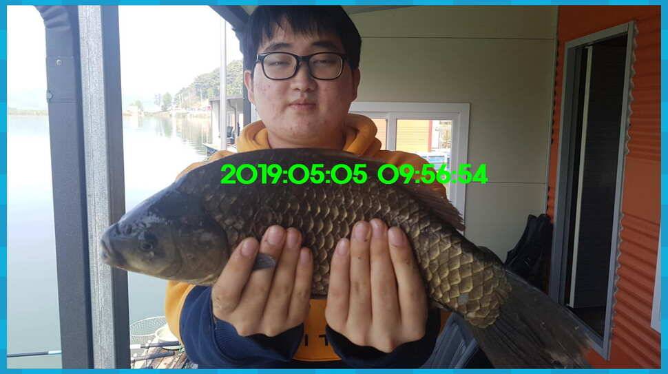 신원낚시터 토종대물 4짜가 풍년입니다풍년 (유료터정보 - 유료터점주조황)
