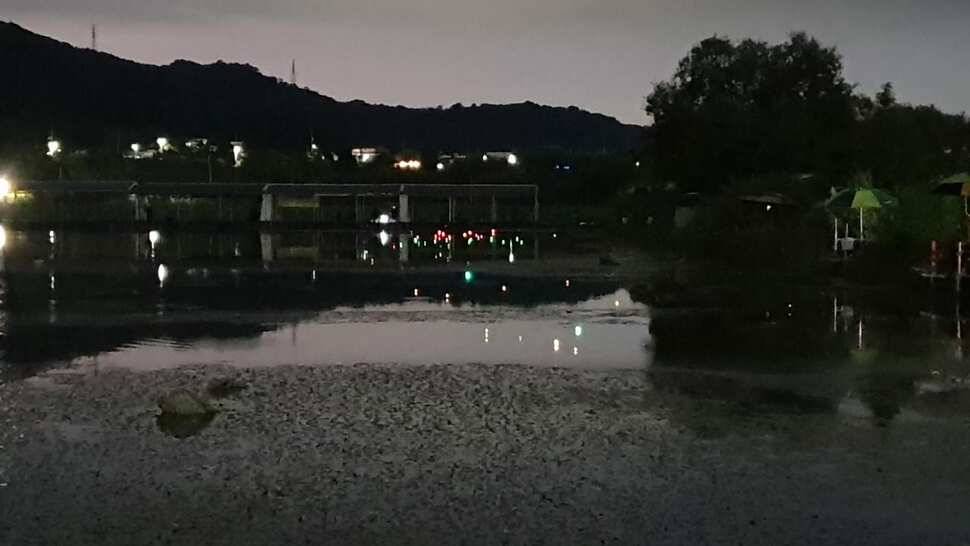 아산 명품 월랑낚시터 8월 마지막 조황이야기입니다 (유료터정보 - 유료터점주조황)