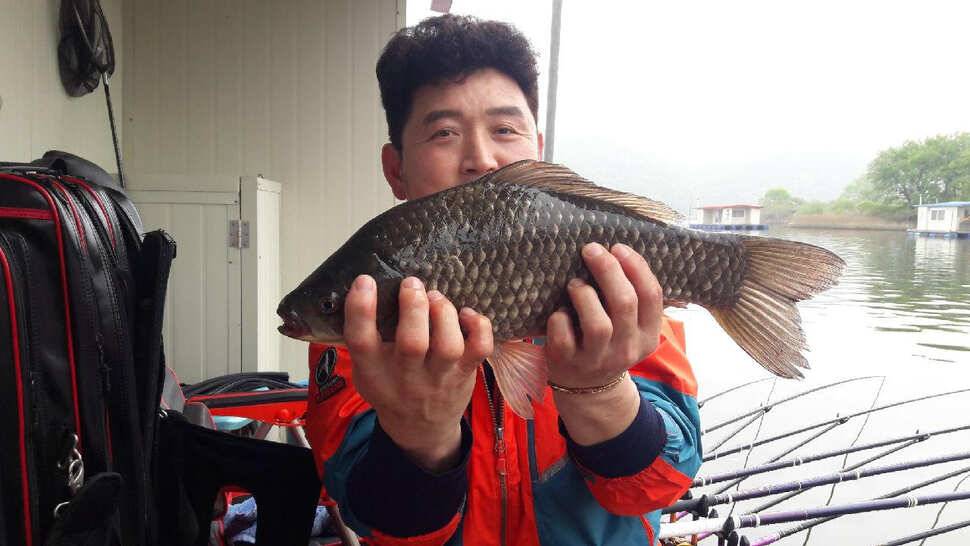 송전지 창신좌대 조황 (유료터정보 - 유료터점주조황)
