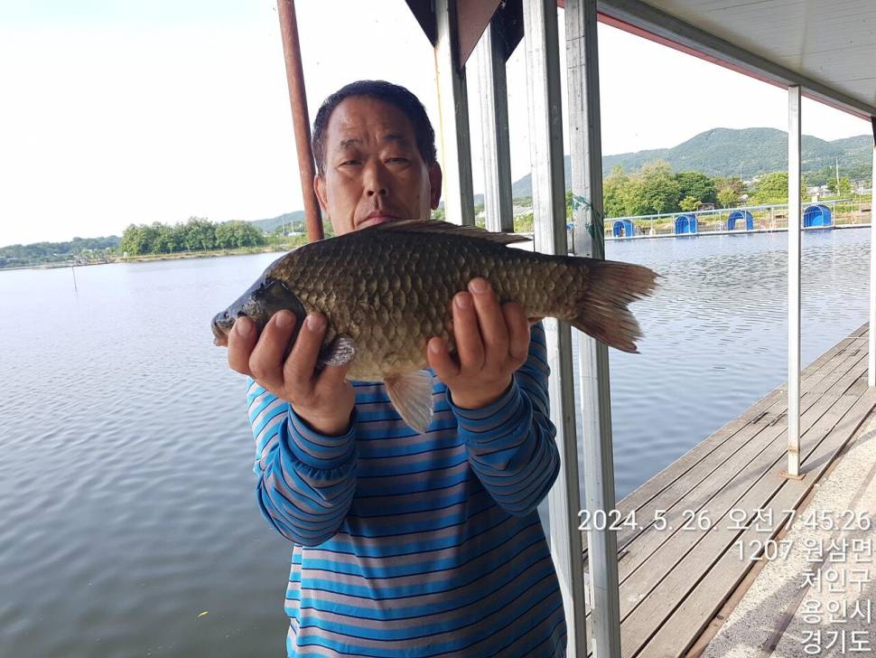 2024년 5월 마지막주 조황정보 용담낚시터사암지 4짜 3마리 (유료터정보 - 유료터점주조황)