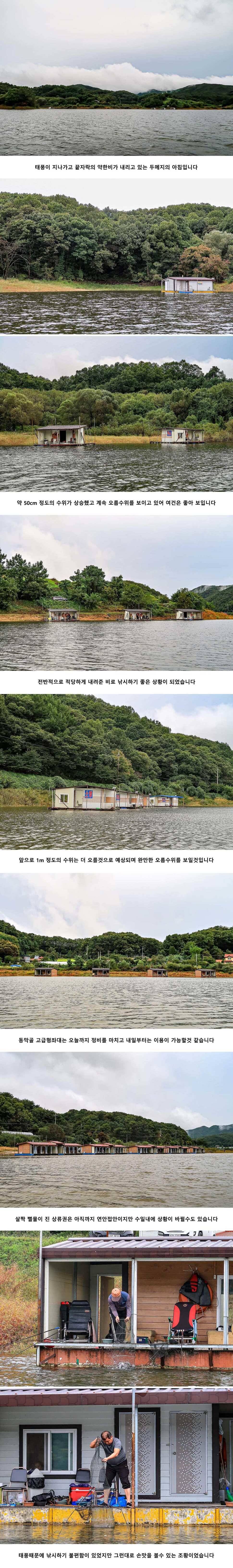 안성 두메낚시터 10월 3일 조황정보 (유료터정보 - 유료터점주조황)