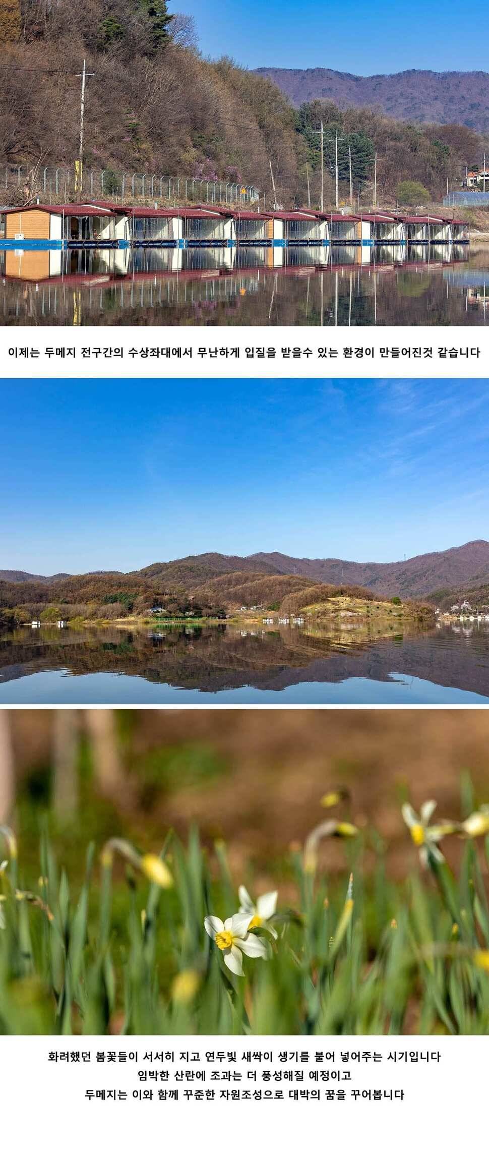안성 두메낚시터 4월 16일 조황정보 (유료터정보 - 유료터점주조황)