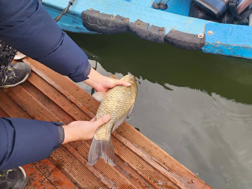 송전지 창신집 45cm 대박 조황 (유료터정보 - 유료터점주조황)