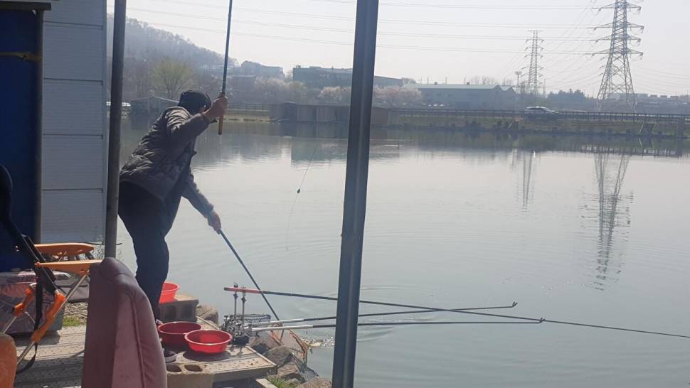 4 월 8 일 거청낚시터 붕어 조황 (유료터정보 - 유료터점주조황)