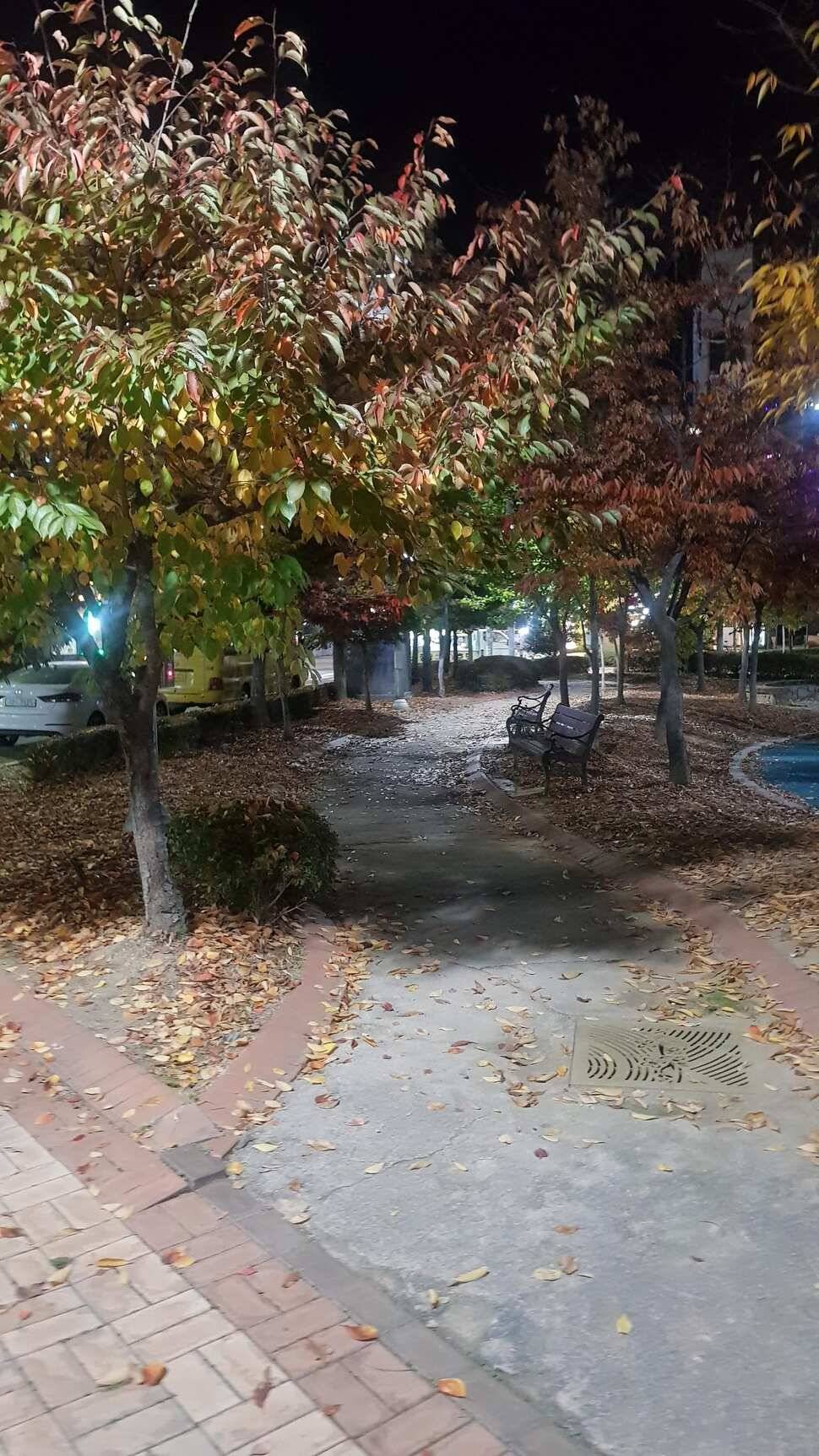 당진 가교리 낚시터 11월 9일 조황입니다 (유료터정보 - 유료터점주조황)