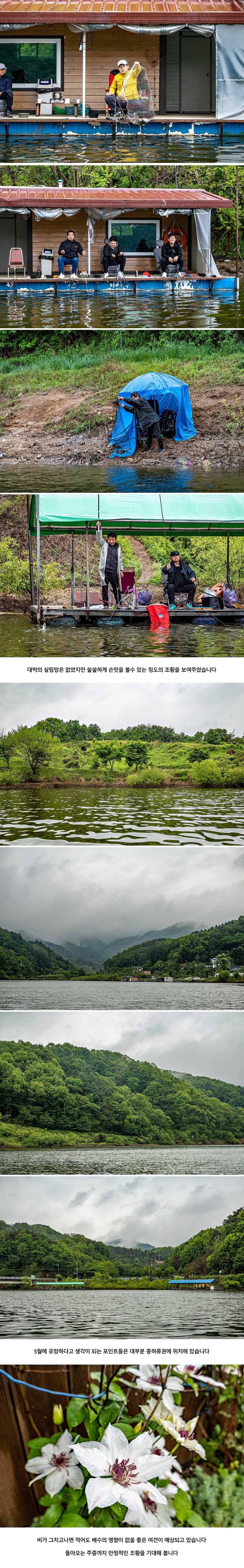 안성 두메낚시터 5월 9일 조황정보 (유료터정보 - 유료터점주조황)