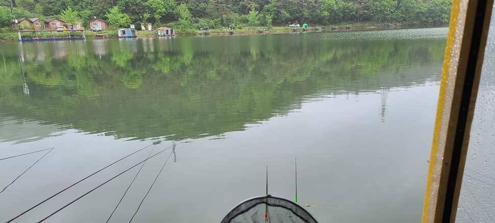 양평낚시터 힐링 수곡낚시터 주말 호조황도 섞여나오면서 괜찬았습니다 (유료터정보 - 유료터점주조황)