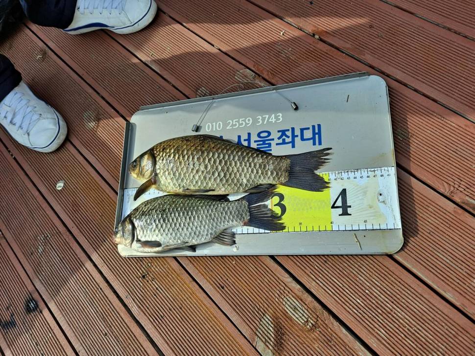 송전지서울좌대4월7일조황 (유료터정보 - 유료터점주조황)