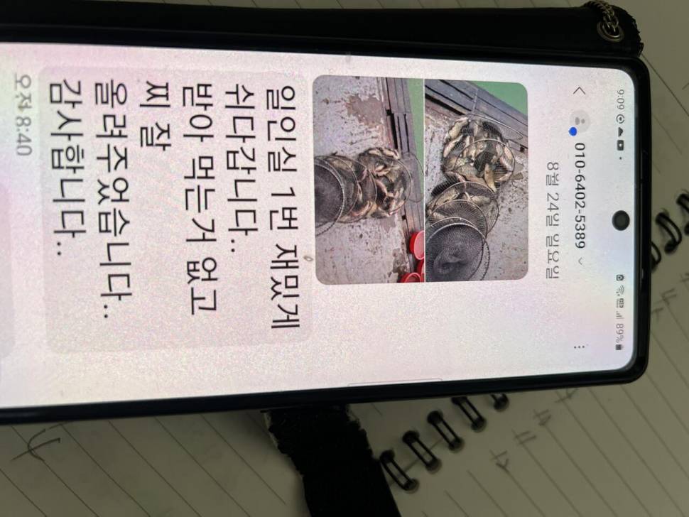 주말 붕어 방류 와 조황입니다 (유료터정보 - 유료터점주조황)