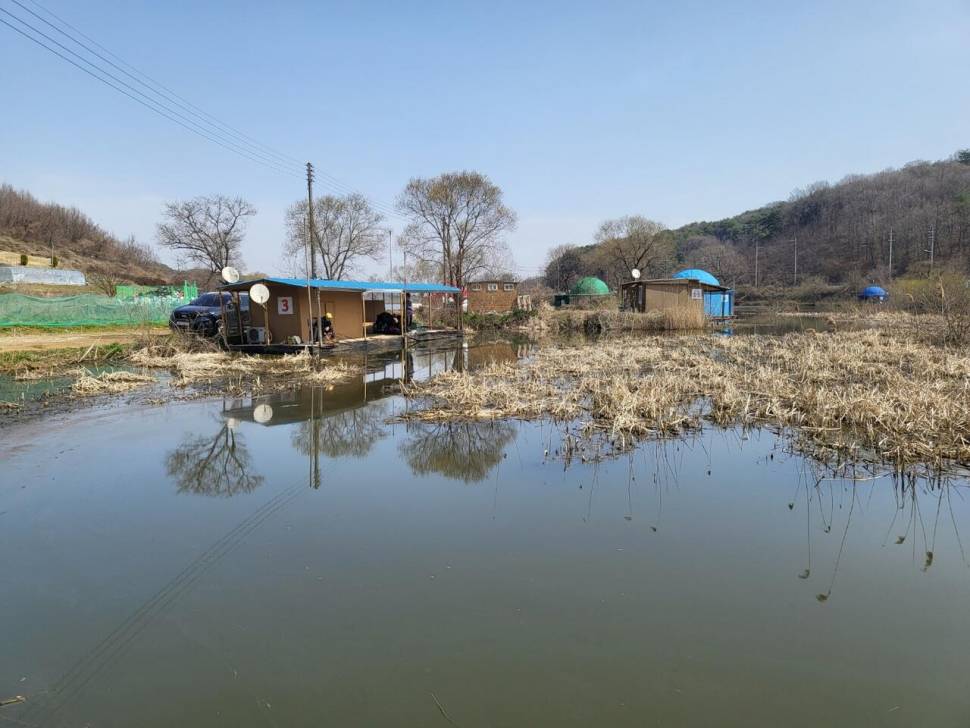 당진 가교리 낚시터 4월 2일 조황입니다 (유료터정보 - 유료터점주조황)