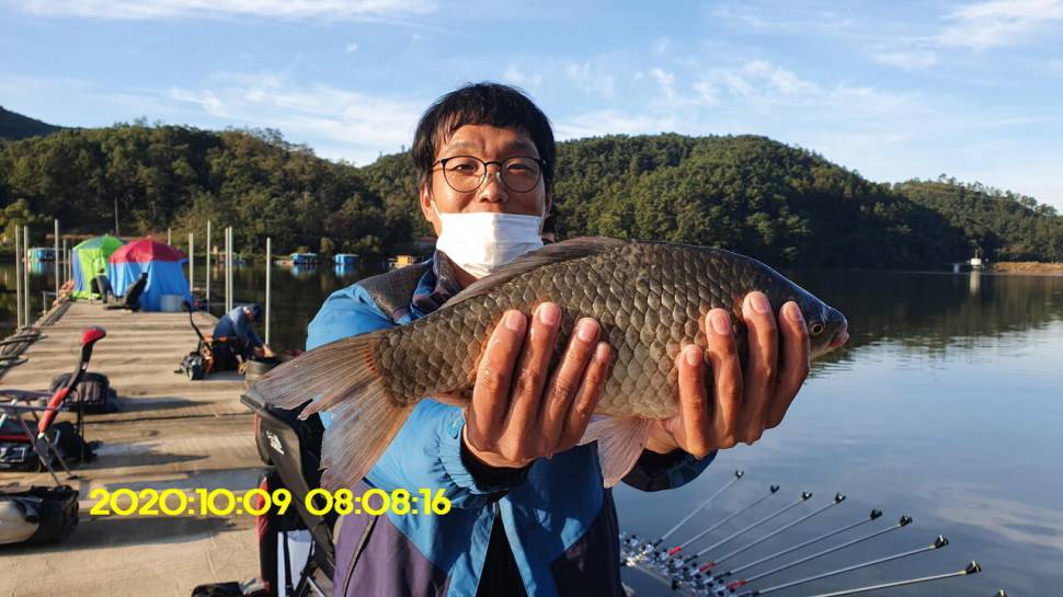 신원낚시터10월20일 토종붕어 4짜와 덩어리들 사진입니다 (유료터정보 - 유료터점주조황)
