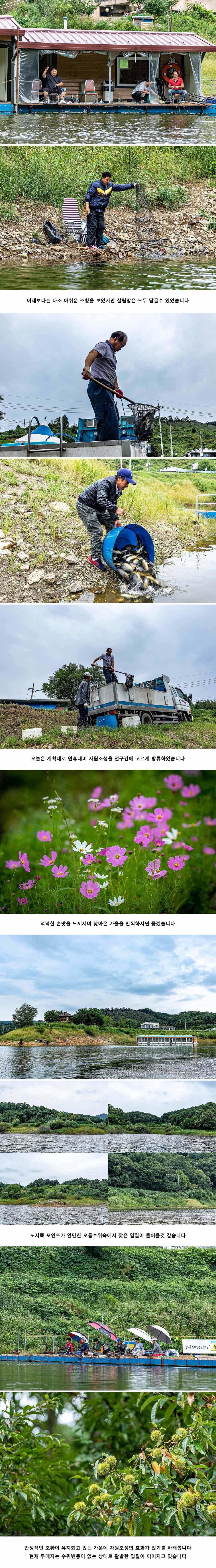 안성 두메낚시터 9월 12일 조황정보 (유료터정보 - 유료터점주조황)