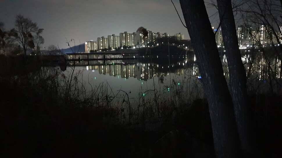 아산 명품 월랑낚시터 3월 첫번째 조황이야기입니다 (유료터정보 - 유료터점주조황)