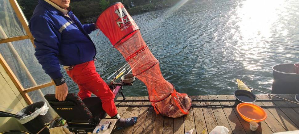 양평 힐링 수곡낚시터 어제 수요일도 대부분 고르게 나와주었습니다 (유료터정보 - 유료터점주조황)