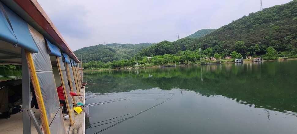 붕어낚시 양평 수곡낚시터 5월마지막주 주초 조황 안내드립니다 (유료터정보 - 유료터점주조황)