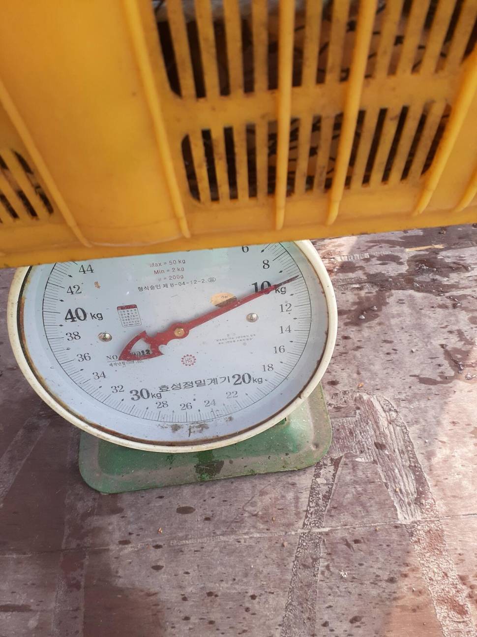 경주 동산낚시터붕어 전용잡이터지난주 조황 (유료터정보 - 유료터점주조황)
